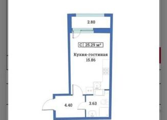 Квартира на продажу студия, 25.9 м2, Мурино, жилой комплекс Авиатор, к7, ЖК Авиатор