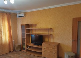 Однокомнатная квартира в аренду, 44 м2, Новосибирская область, улица Дуси Ковальчук, 173
