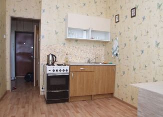 Сдается в аренду 1-комнатная квартира, 34 м2, Новосибирск, улица Вавилова, 3, метро Гагаринская