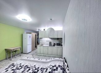 Квартира в аренду студия, 25 м2, посёлок Новогорелово, улица Современников, 7