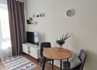 Сдаю в аренду квартиру студию, 20 м2, Люберцы, улица Лётчика Ларюшина, 2, ЖК Жулебино Парк