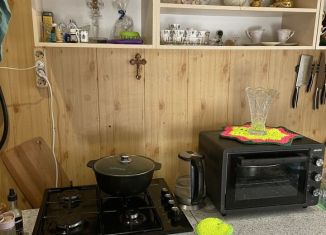 Сдается в аренду дом, 43 м2, деревня Алабино, Железнодорожная улица