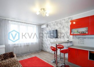 Продам 1-комнатную квартиру, 45.5 м2, Омская область, Мельничная улица, 87к1