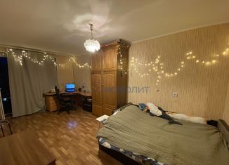 1-комнатная квартира на продажу, 29.7 м2, Нижегородская область, улица Белинского, 87