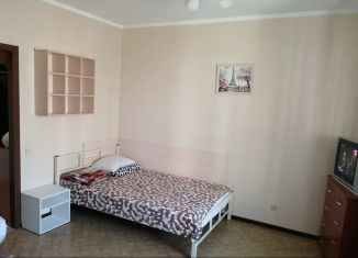 Квартира в аренду студия, 26 м2, Санкт-Петербург, Парашютная улица, 58, Приморский район