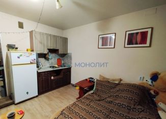 Квартира на продажу студия, 28.1 м2, Нижний Новгород, Мончегорская улица, 12к4