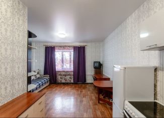 Квартира на продажу студия, 26.5 м2, Томск, поселок Киргизка, 109, Ленинский район