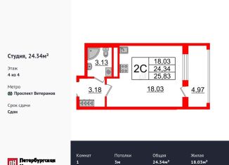 Квартира на продажу студия, 24.3 м2, Санкт-Петербург, метро Проспект Ветеранов