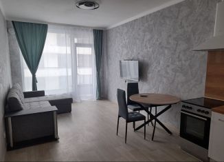 2-комнатная квартира в аренду, 51 м2, Новосибирск, улица Аэропорт, 88, улица Аэропорт