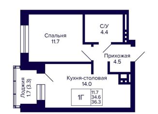 Продам 1-комнатную квартиру, 36.3 м2, Новосибирск, метро Площадь Маркса