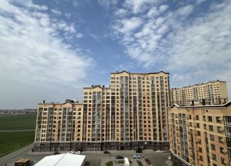Продам двухкомнатную квартиру, 60 м2, Ставрополь, улица Матрены Наздрачевой, Промышленный район