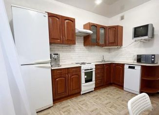 Продается двухкомнатная квартира, 61 м2, Санкт-Петербург, Парашютная улица, 58, ЖК Каменка