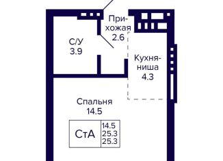 Продажа квартиры студии, 25.3 м2, Новосибирск, Кировский район