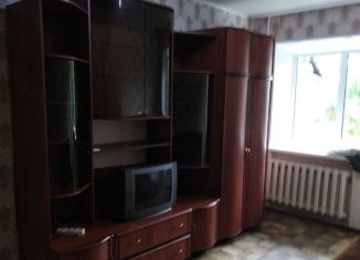 Сдается в аренду однокомнатная квартира, 30 м2, Нижегородская область, улица Калинина, 18
