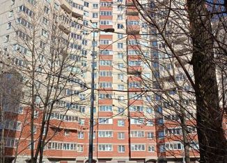Продается 1-комнатная квартира, 35 м2, Санкт-Петербург, проспект Космонавтов, 23к3, муниципальный округ Гагаринское