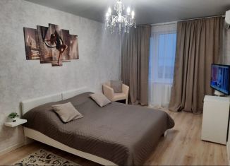 Сдается 1-комнатная квартира, 31 м2, Волгоградская область, проезд Феоктистова