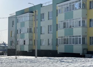Продажа трехкомнатной квартиры, 38.2 м2, Нижегородская область, Олимпийский проспект, 15