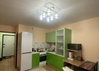 Квартира на продажу студия, 23.9 м2, Колпино, улица Севастьянова, 28к2
