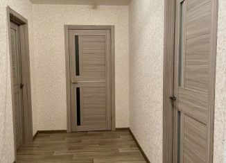 Двухкомнатная квартира в аренду, 63 м2, Санкт-Петербург, Пушкинская улица, 40