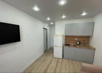 1-комнатная квартира на продажу, 18 м2, Татарстан, проспект Вахитова, 9