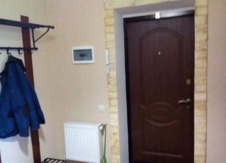 1-комнатная квартира в аренду, 40 м2, Ростовская область, Смирновский переулок, 121
