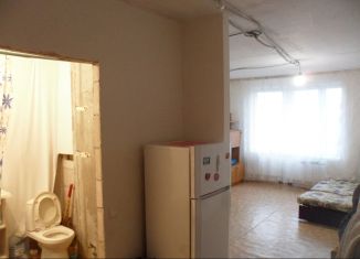 Сдам в аренду квартиру студию, 25 м2, Московская область, микрорайон Птицефабрика, 39