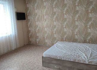 Сдается 1-комнатная квартира, 45 м2, Барнаул, улица Шумакова, 61, Индустриальный район