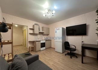 Продажа квартиры студии, 25 м2, Нижегородская область, Бурнаковская улица, 111