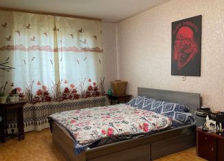 Двухкомнатная квартира на продажу, 52.3 м2, Санкт-Петербург, улица Маршала Новикова, 1к1