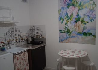 Продажа 1-комнатной квартиры, 28.5 м2, Иркутская область, микрорайон Берёзовый, 250