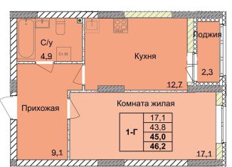 Продажа однокомнатной квартиры, 45 м2, Нижегородская область, 1-я Оранжерейная улица, 16