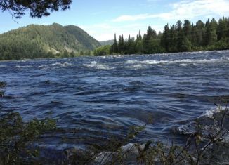 Участок на продажу, 61 сот., село Усть-Пыжа