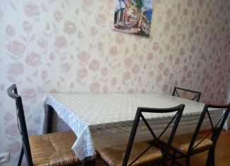 Сдается в аренду однокомнатная квартира, 40 м2, Новосибирск, улица Никитина, 64
