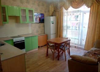 Сдам 1-комнатную квартиру, 40 м2, Новосибирск, Большая улица