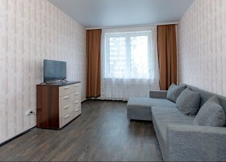 1-комнатная квартира на продажу, 31 м2, Мурино, Воронцовский бульвар, ЖК Краски Лета