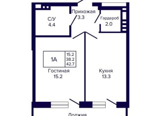 1-ком. квартира на продажу, 42.7 м2, Новосибирск, метро Гагаринская, улица Ляпидевского, 5