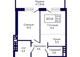 Продаю 2-комнатную квартиру, 45.2 м2, Новосибирск, метро Гагаринская, улица Ляпидевского, 5