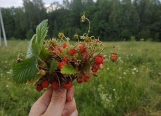 Продаю участок, 14 сот., деревня Лихун