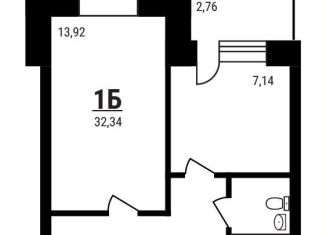 Продажа однокомнатной квартиры, 32.3 м2, Московская область, микрорайон Дружный, 14