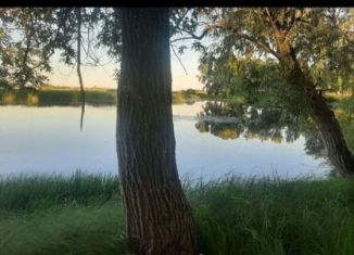 Продаю земельный участок, 10 сот., СНТ Шинник