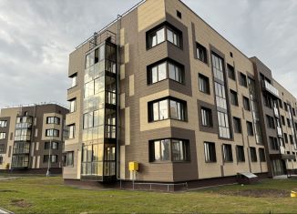 Продается двухкомнатная квартира, 56.3 м2, деревня Жабкино, микрорайон Булатниково, 8