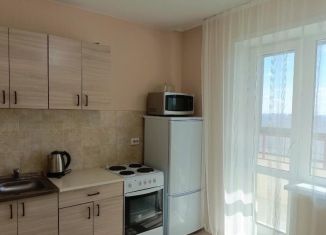 Сдаю 1-комнатную квартиру, 40 м2, Новосибирск, Красный проспект, 305