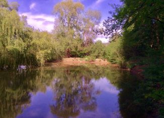 Продажа земельного участка, 16 сот., село Соколиное, улица Титова, 52А