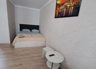 Двухкомнатная квартира в аренду, 45 м2, Нальчик, проспект Шогенцукова, 39