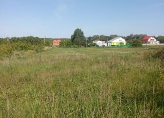 Продается участок, 30 сот., село Русское Макулово, Центральная улица, 65