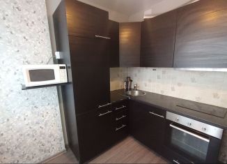 1-комнатная квартира в аренду, 37 м2, Екатеринбург, улица Амундсена, 118А, метро Чкаловская