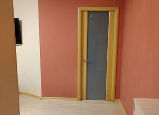 3-комнатная квартира в аренду, 40 м2, Екатеринбург, Красный переулок, 8, Красный переулок