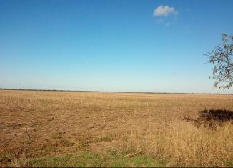 Продажа земельного участка, 100 сот., село Равнополье, улица Калинина, 16А