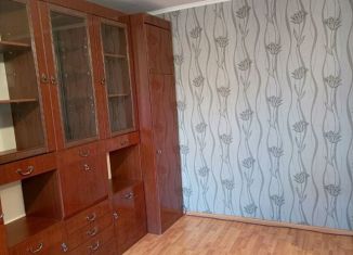 Однокомнатная квартира в аренду, 29 м2, Новосибирская область, микрорайон Южный, 42