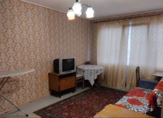 Продается однокомнатная квартира, 32.6 м2, Санкт-Петербург, проспект Кузнецова, 23к1, метро Проспект Ветеранов